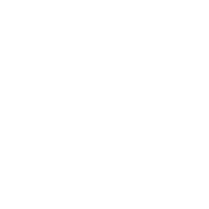 ライセンス講習